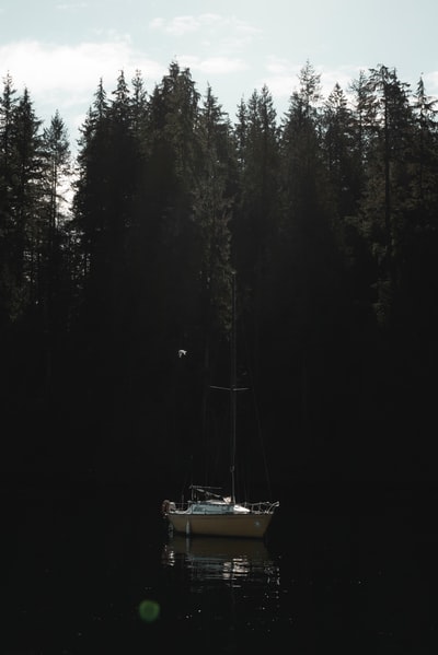 树旁的白船